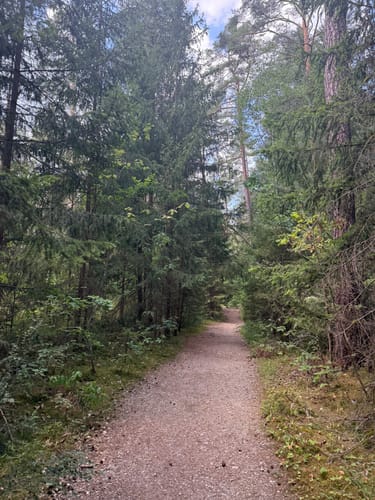 Schwarzach Klamm