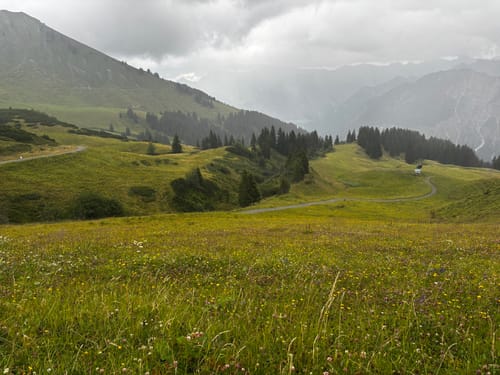 Fellhorn-Erlebnisweg und Schlappoltsee [CLOSED]