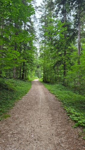 Themenweg Märchenpfad Bischofswiesen