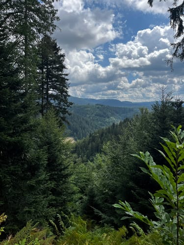Lierbachtal ab Oppenau