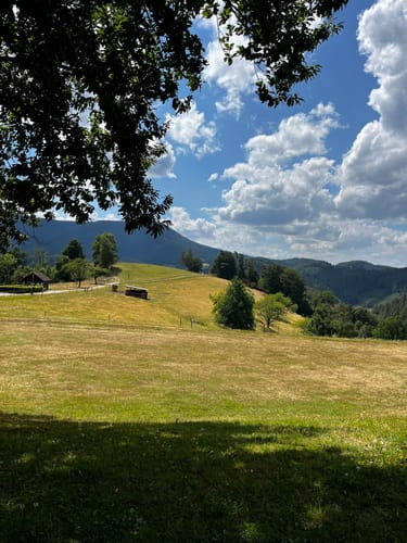 Lierbachtal ab Oppenau