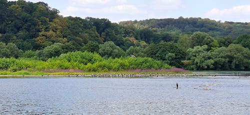 Kemnader See Rundwanderweg