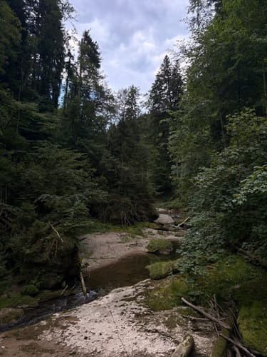 Laubenberg -Kapf -Eistobel Rundweg