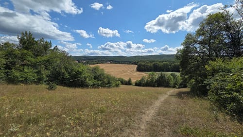 Durch die Wolfsschlucht und zur Lauenburg