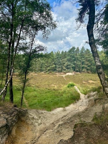 Galgenvenn (Premiumwanderweg)