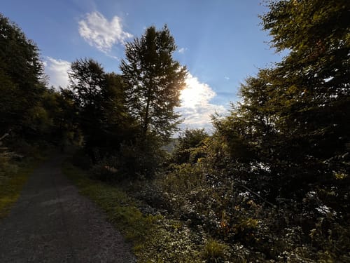 Pulvermaar Rundwanderung