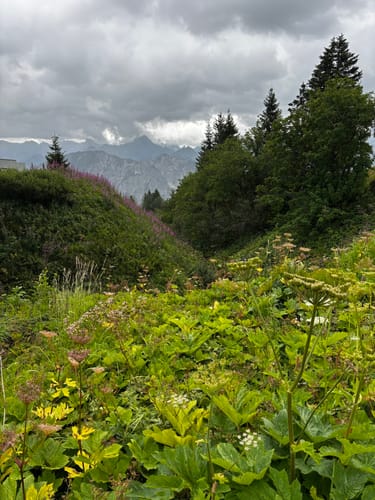 Fellhorn-Erlebnisweg und Schlappoltsee [CLOSED]
