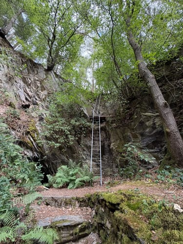 Layensteig Strimmiger Berg (Variante)