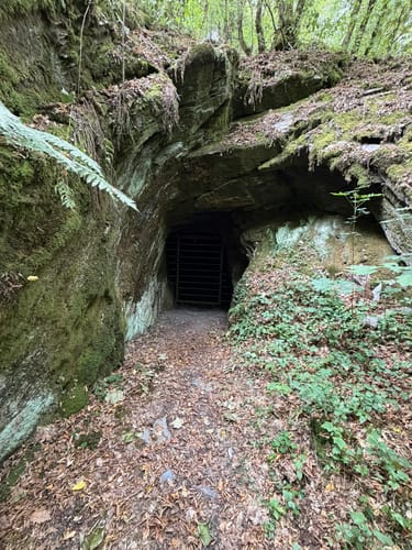 Layensteig Strimmiger Berg (Variante)