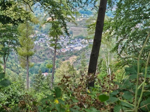 Altenburg - Mayschossblick - Hornberg