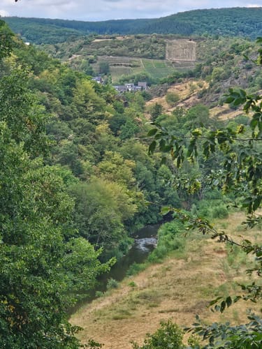 Altenburg - Mayschossblick - Hornberg