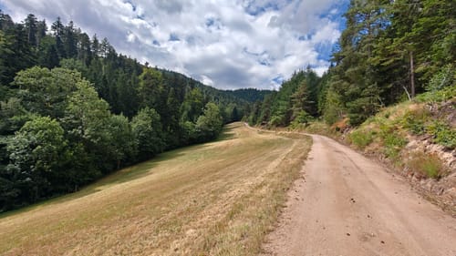 Gutach - Landwassereck