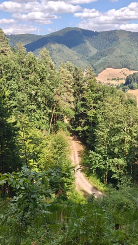 Gutach - Landwassereck