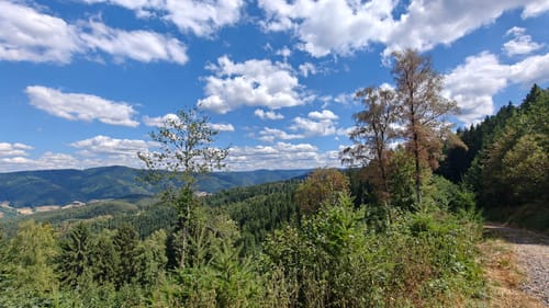 Gutach - Landwassereck