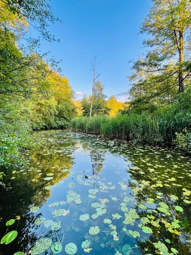Schaalsee Rundtour ab Zarrentin