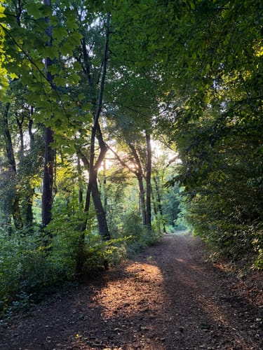 Rundweg Historischer Halberg