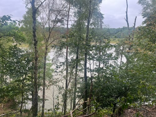 Durch das Naturschutzgebiet am Hornpottweg