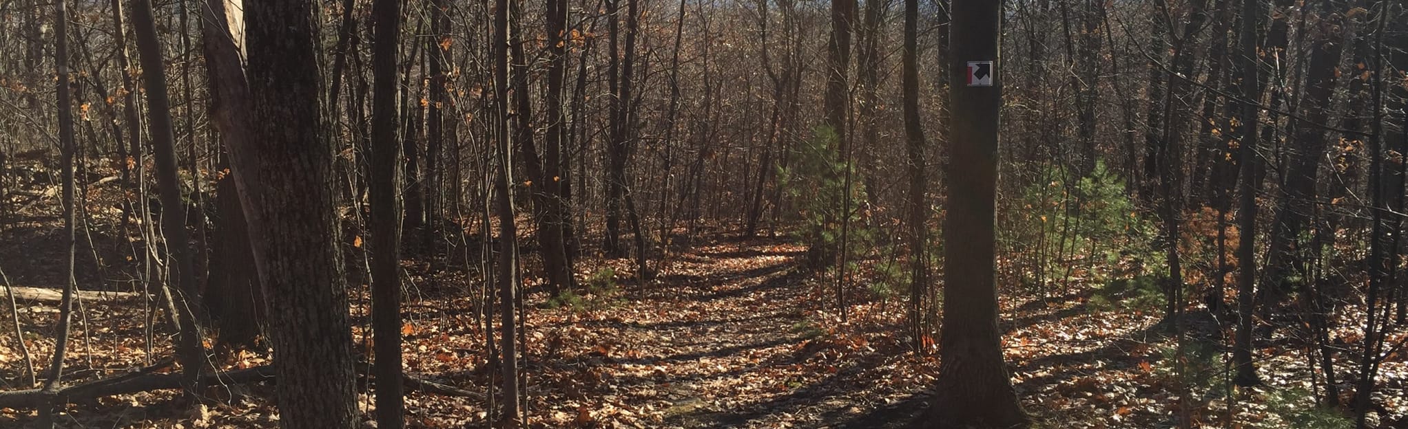 Lower Pease Mountain Loop, Vermont 60 Reviews, Map AllTrails