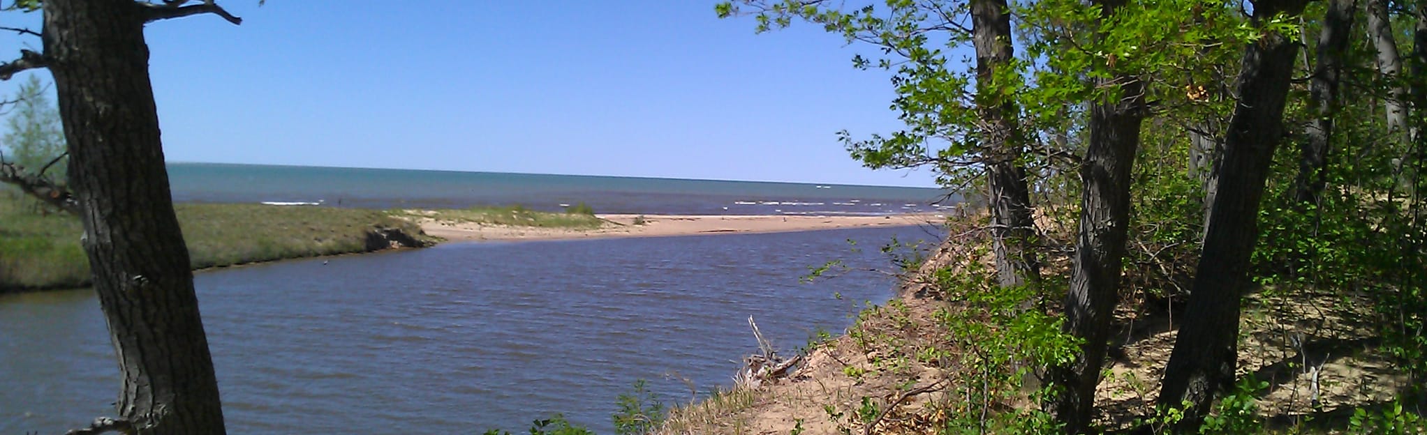 Port Cresent State Park Trail 181 Reviews, Map Michigan AllTrails