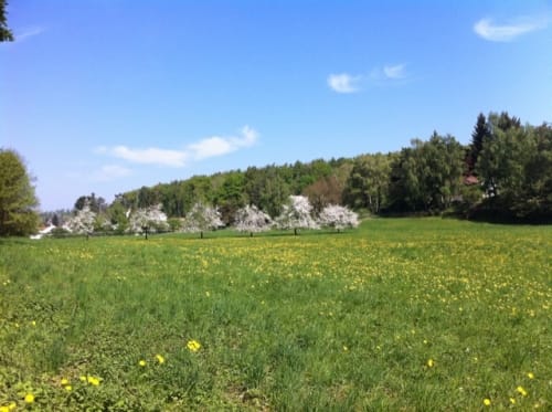 Von Überlingen nach Meersburg