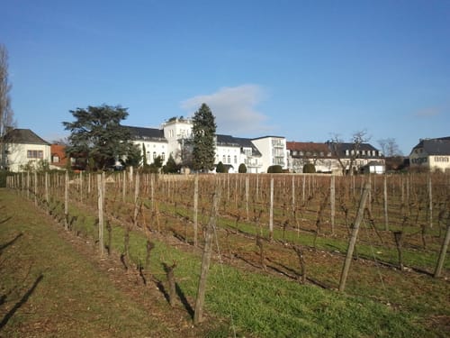 Rund um Hochheim
