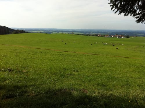 Auerberg - Buffernandel Rundweg