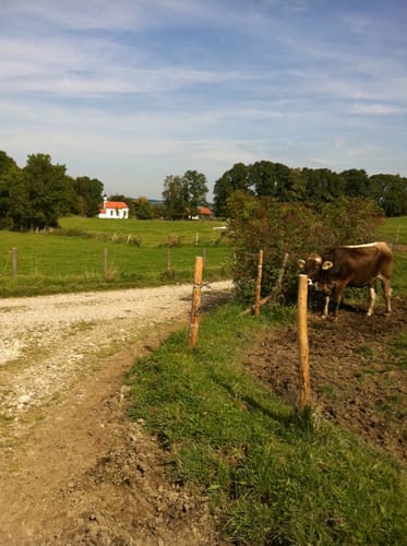 Auerberg - Buffernandel Rundweg