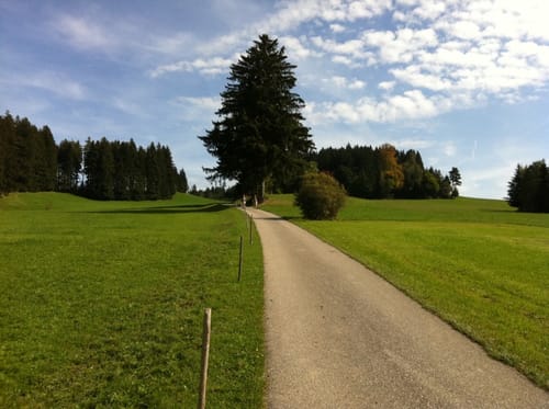 Auerberg - Buffernandel Rundweg