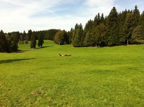 Auerberg - Buffernandel Rundweg