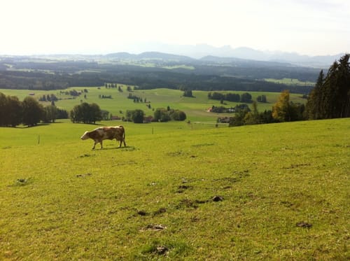 Auerberg - Buffernandel Rundweg