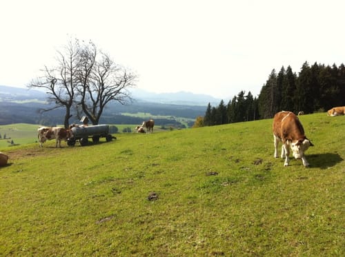 Auerberg - Buffernandel Rundweg