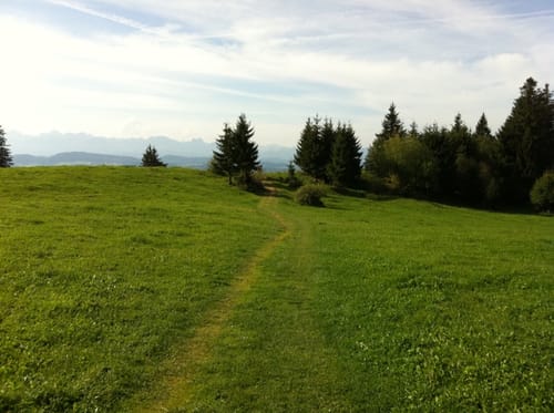 Auerberg - Buffernandel Rundweg