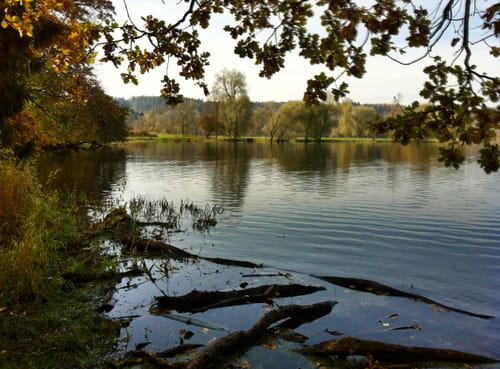 Bärensee Rundweg