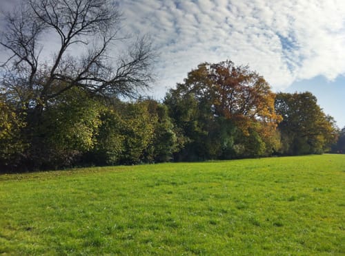 Bärensee Rundweg