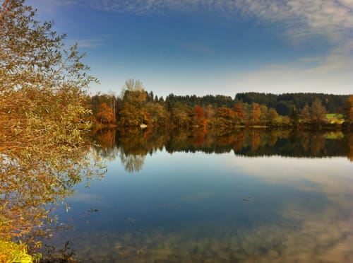 Bärensee Rundweg