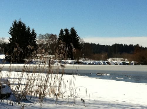 Hochwieswald - Rieder - Römerbad