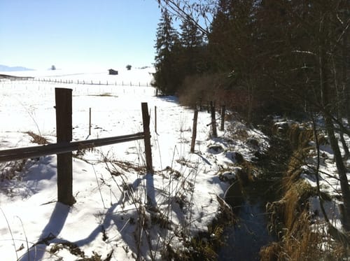 Hochwieswald - Rieder - Römerbad