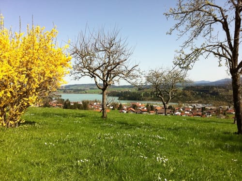 Lechbruck am See Rundwanderung