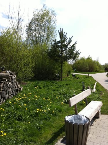 Dehner Blumenpark Rundweg