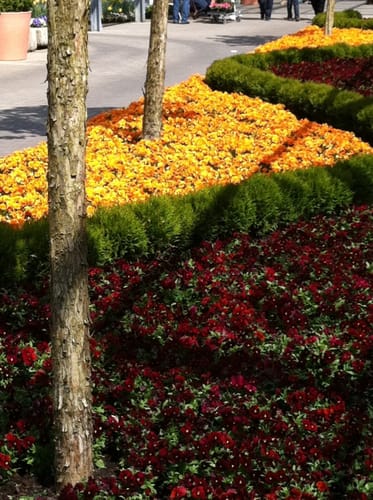Dehner Blumenpark Rundweg