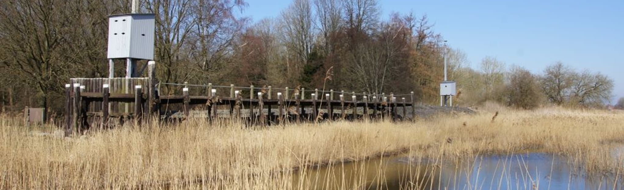 Kuinderbos, Overijssel, Netherlands - 10 Reviews, Map | AllTrails