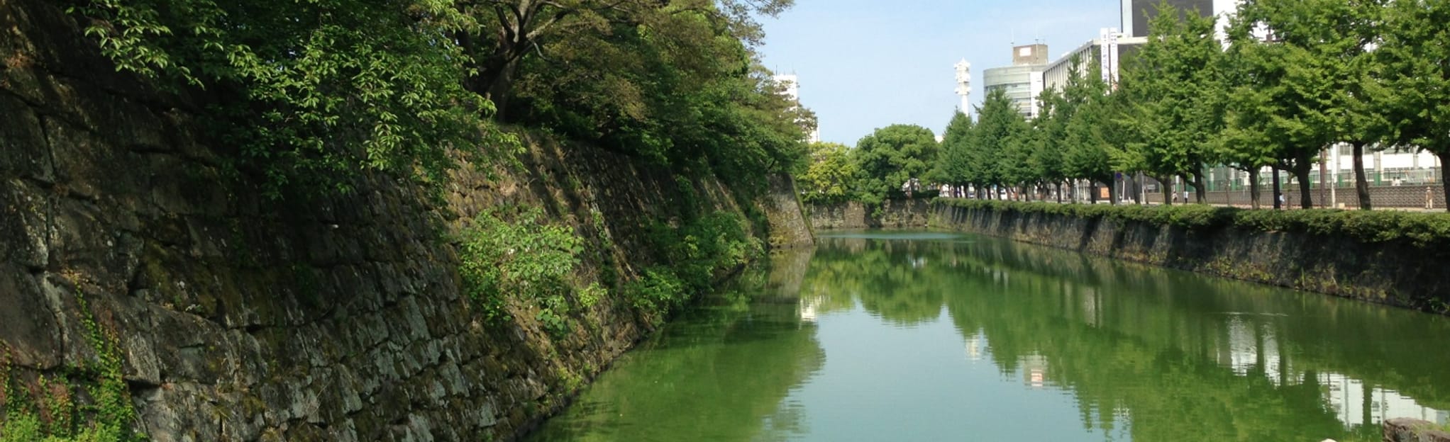 Wakayama Castle Walking Tour 37 Fotos Wakayama, Japan AllTrails