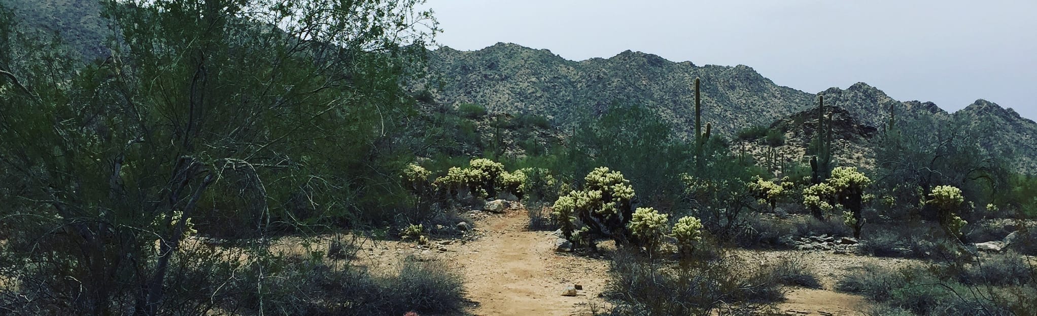 Gray Fox Trail, Arizona 534 Reviews, Map AllTrails