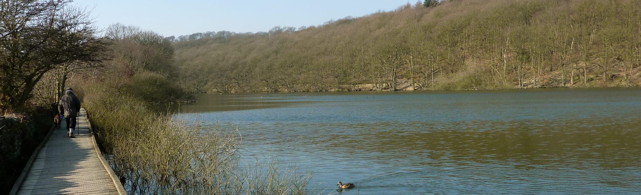 Linacre Reservoirs Circular Walk 232 Reviews, Map Derbyshire