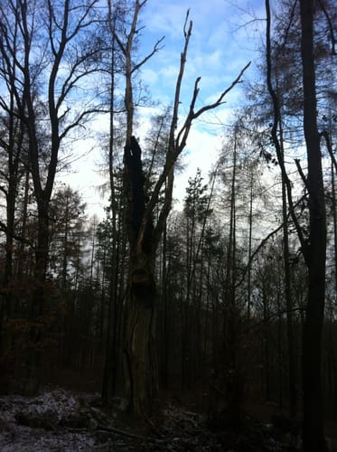 Radtour ab Schmalkalden 