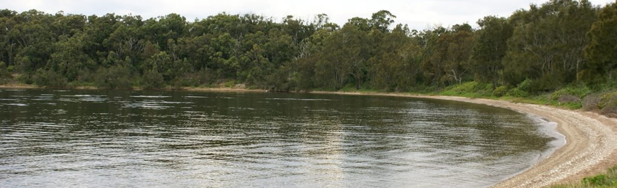 Lake Macquarie Paddle Murrays Beach and Pulbah Island, New South Wales