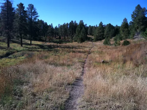 10 Best Easy Trails in Santa Fe National Forest | AllTrails