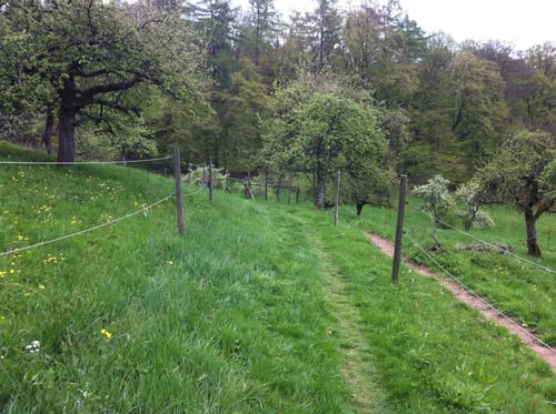 Wallfahrtsweg Lichtenklingen