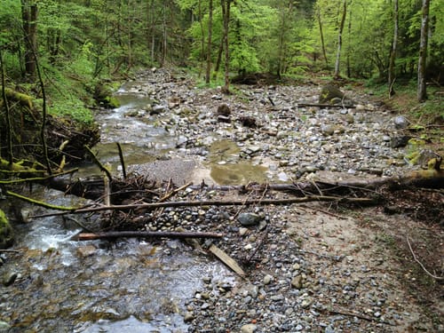 Trogener Moore und Hausbachklamm ab Weiler im Allgäu