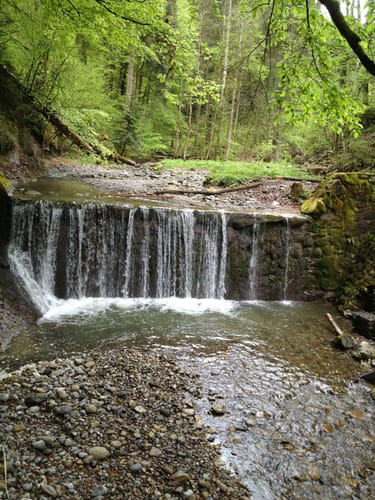 Trogener Moore und Hausbachklamm ab Weiler im Allgäu
